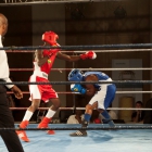 Click to enlarge ContiPartner