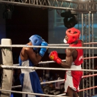 Click to enlarge ContiPartner