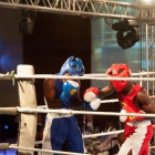 Click to enlarge ContiPartner