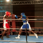 Click to enlarge ContiPartner