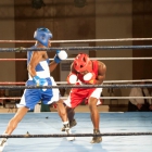 Click to enlarge ContiPartner