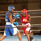 Click to enlarge ContiPartner