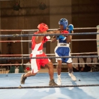 Click to enlarge ContiPartner