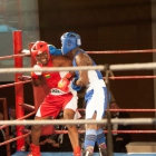 Click to enlarge ContiPartner