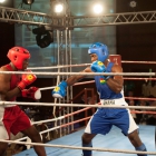 Click to enlarge ContiPartner