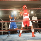 Click to enlarge ContiPartner