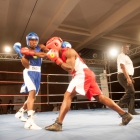 Click to enlarge ContiPartner